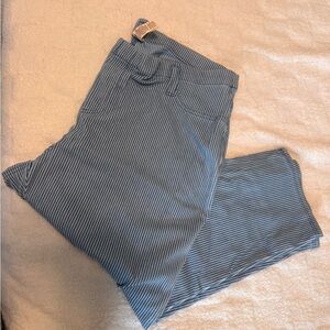Faded Glory Women's Blue Striped Chinos